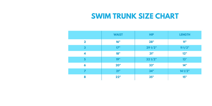 Colorblock Fish Embroidery Boys Swim Trunks